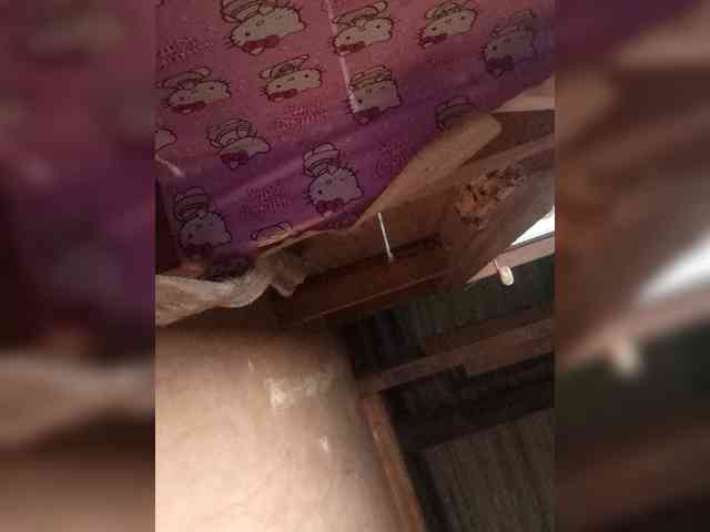Chemaihot96 webcam