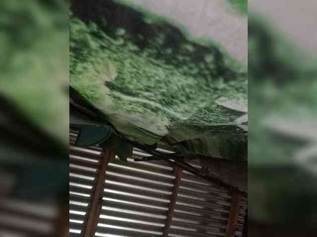 Chemaihot96