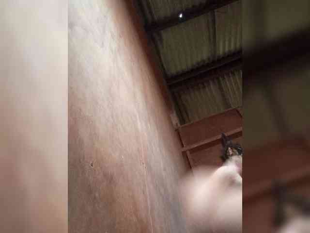 Chemaihot96 webcam