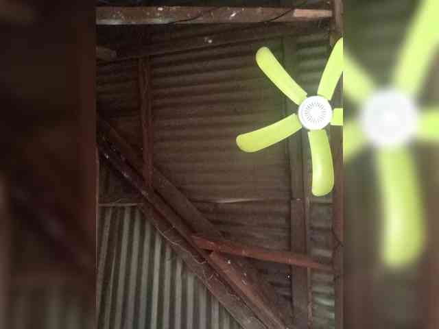 Chemaihot96 webcam