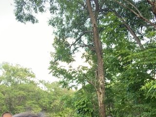sweetcock10