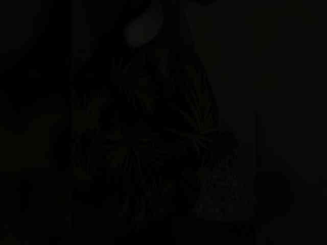 Sweetcock10 Sex Cam Show