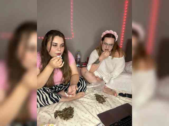 Twixsticks2