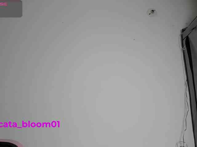 Catabloom1