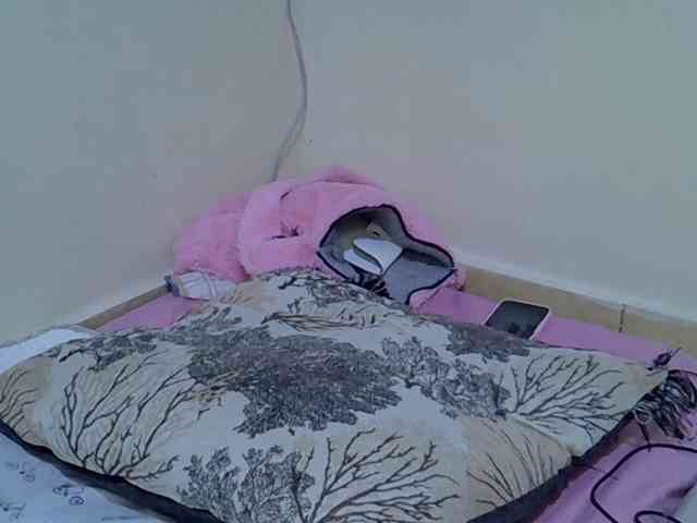 Sexywn webcam