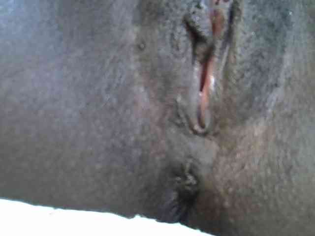 Sexywn webcam