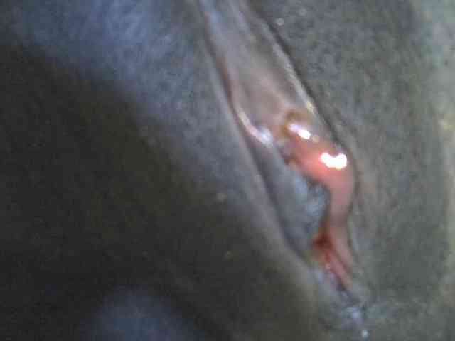 Sexywn webcam