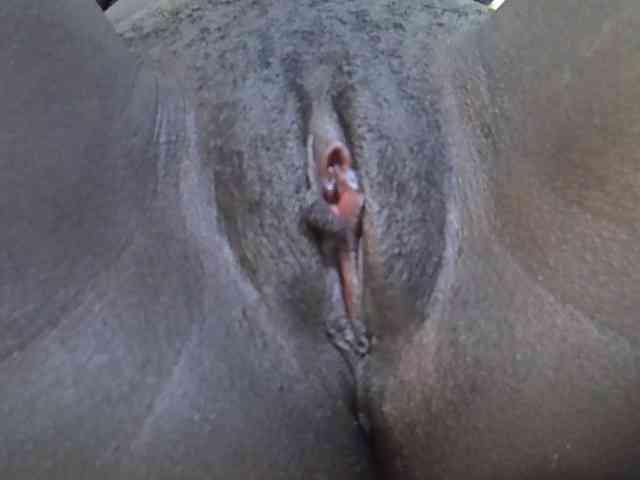 Sexywn webcam