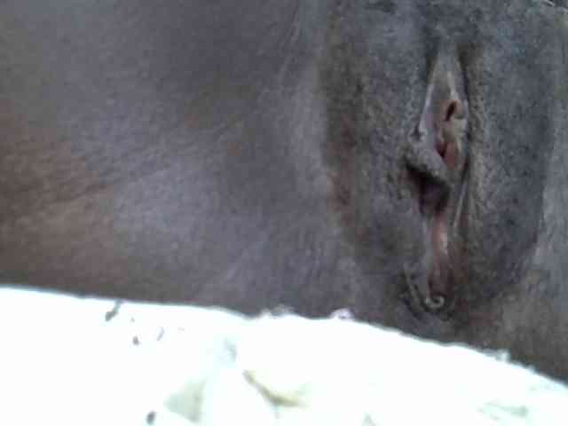 Sexywn webcam
