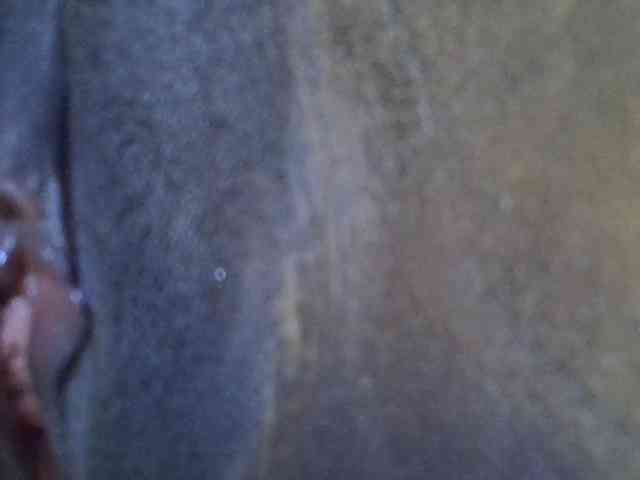 Sexywn webcam