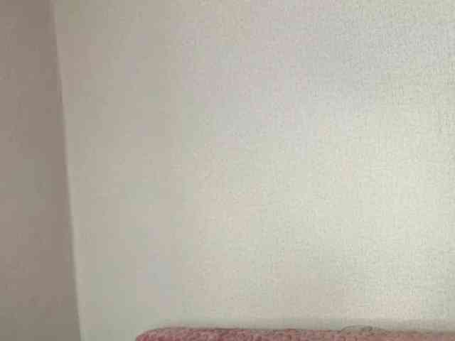 MyongBuba webcam