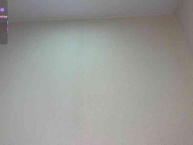 MyongBuba webcam