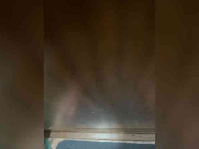 Orex01 webcam