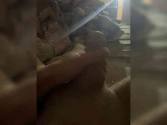 Orex01 webcam