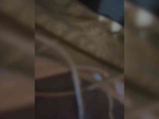 Orex01 webcam