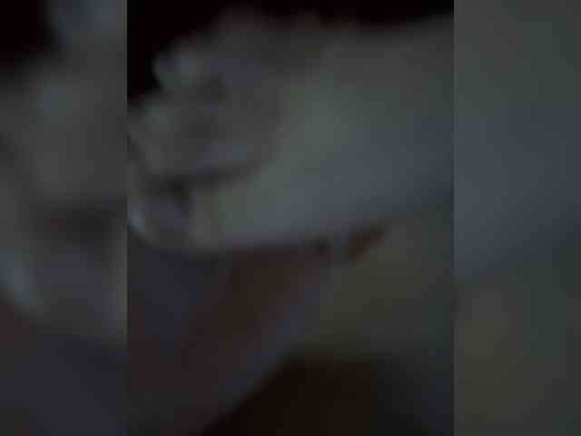 Orex01 webcam