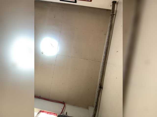ChubbyBabe31 live cam on BongaCams