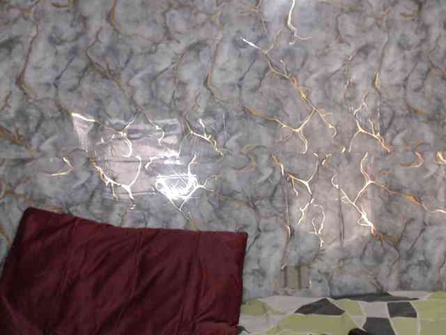 MiaRouse webcam
