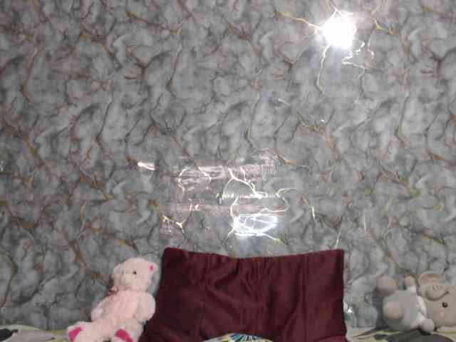 MiaRouse webcam
