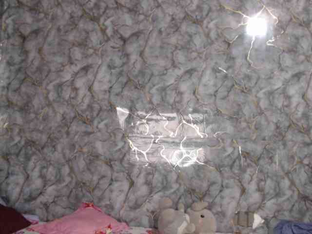 MiaRouse webcam