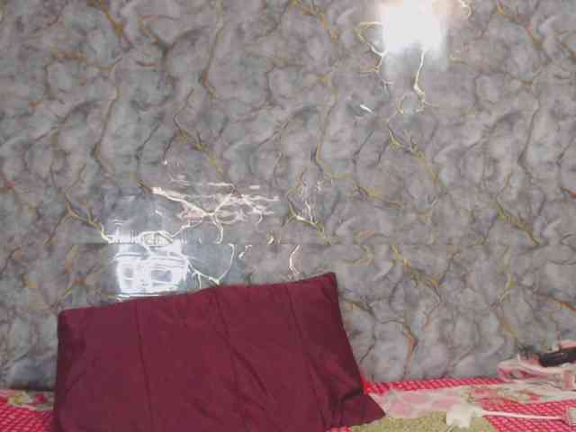 MiaRouse webcam