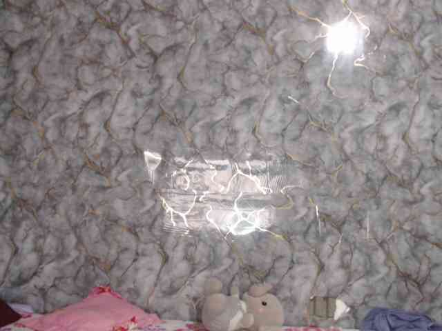 MiaRouse webcam