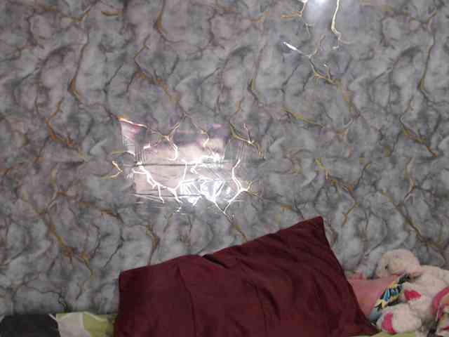 MiaRouse webcam