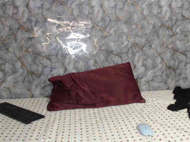 MiaRouse webcam