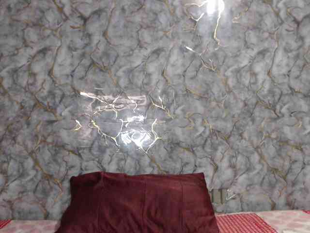 MiaRouse webcam
