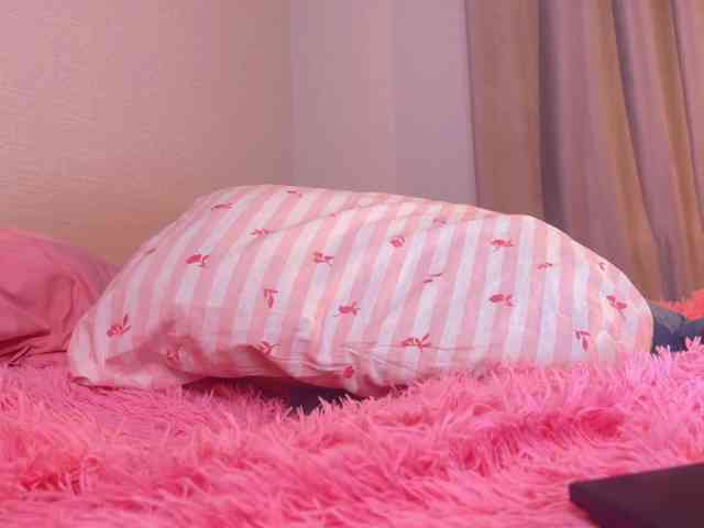 Dallassss webcam