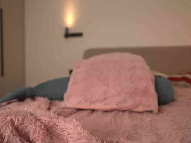 Dallassss webcam