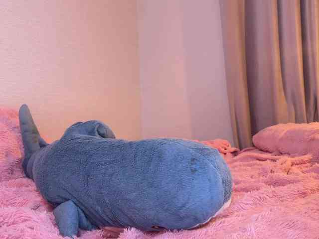 Dallassss webcam