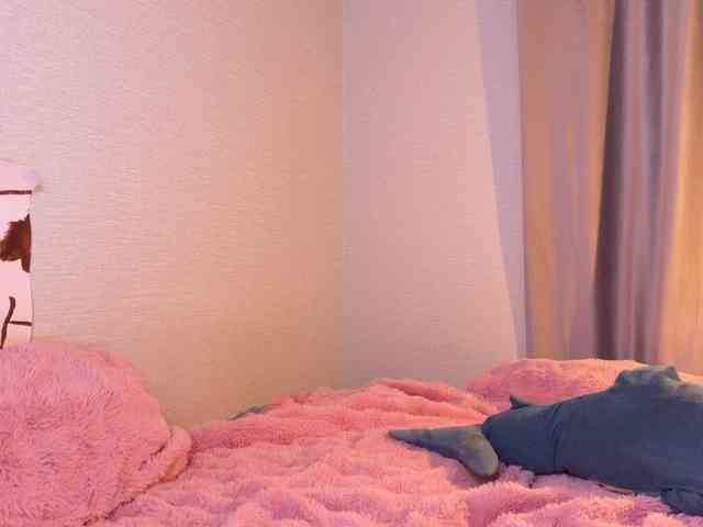 Dallassss webcam