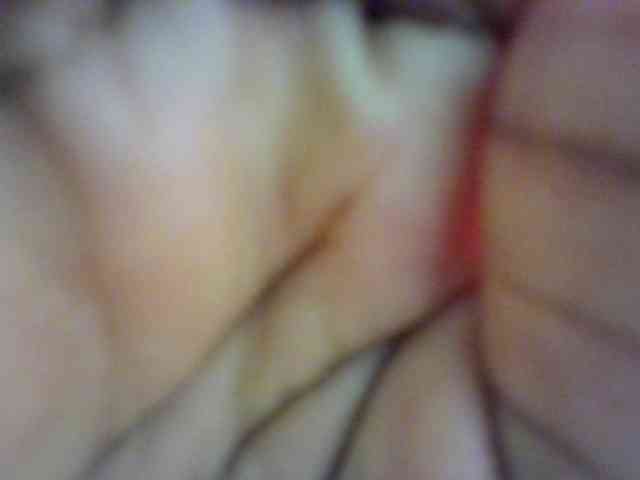KittyyCat webcam