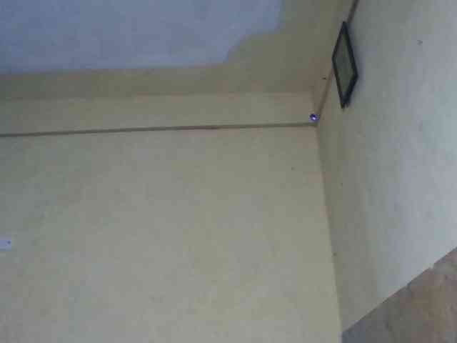 sexychoco254 webcam