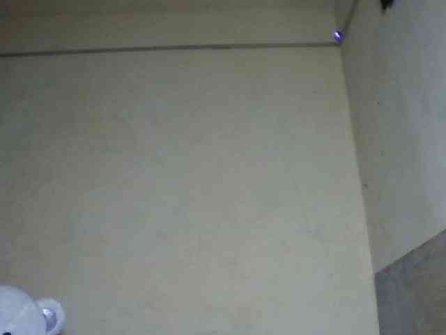 sexychoco254 webcam