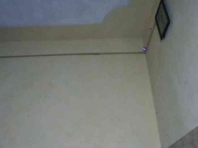 sexychoco254 webcam