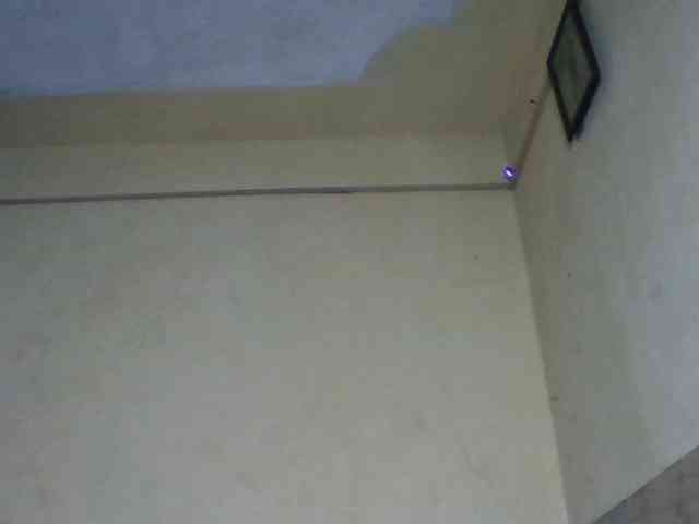 sexychoco254 webcam