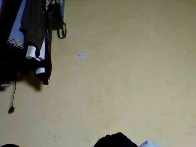 sexychoco254 webcam