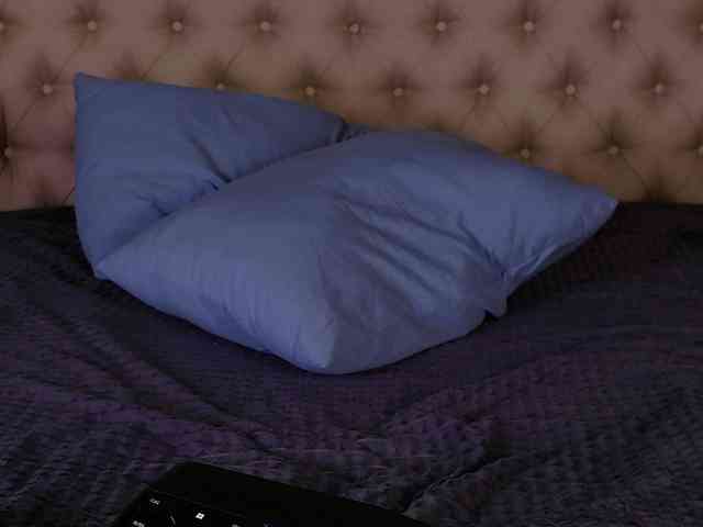 AlexaStain webcam