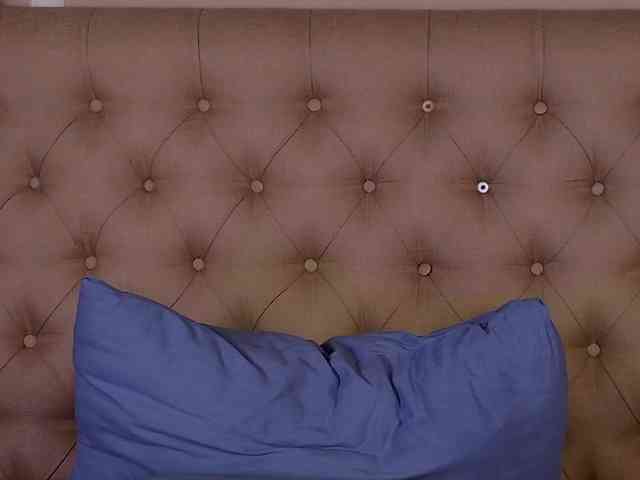 AlexaStain webcam