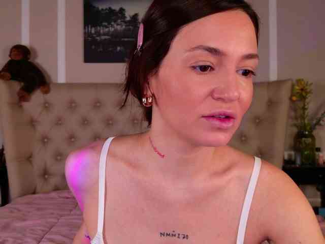 AlexaStain webcam