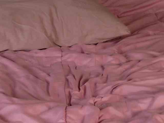 AlexaStain webcam