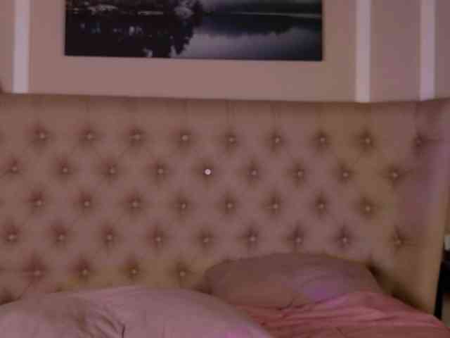 AlexaStain webcam