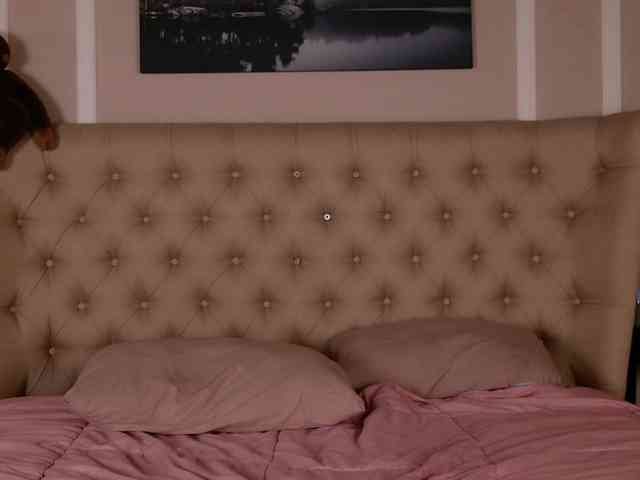 AlexaStain webcam