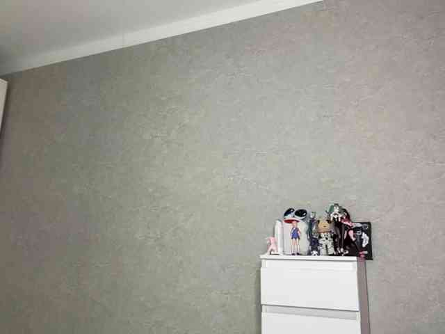 CaronCorti webcam