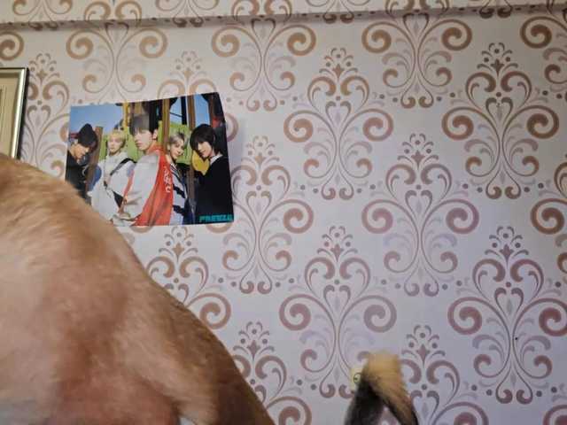 BirdieChuyangher live cam on BongaCams