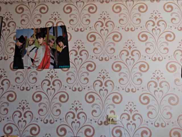 BirdieChuyangher webcam
