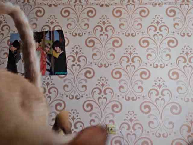 BirdieChuyangher webcam