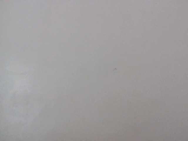 Preview of sinfulpetite2